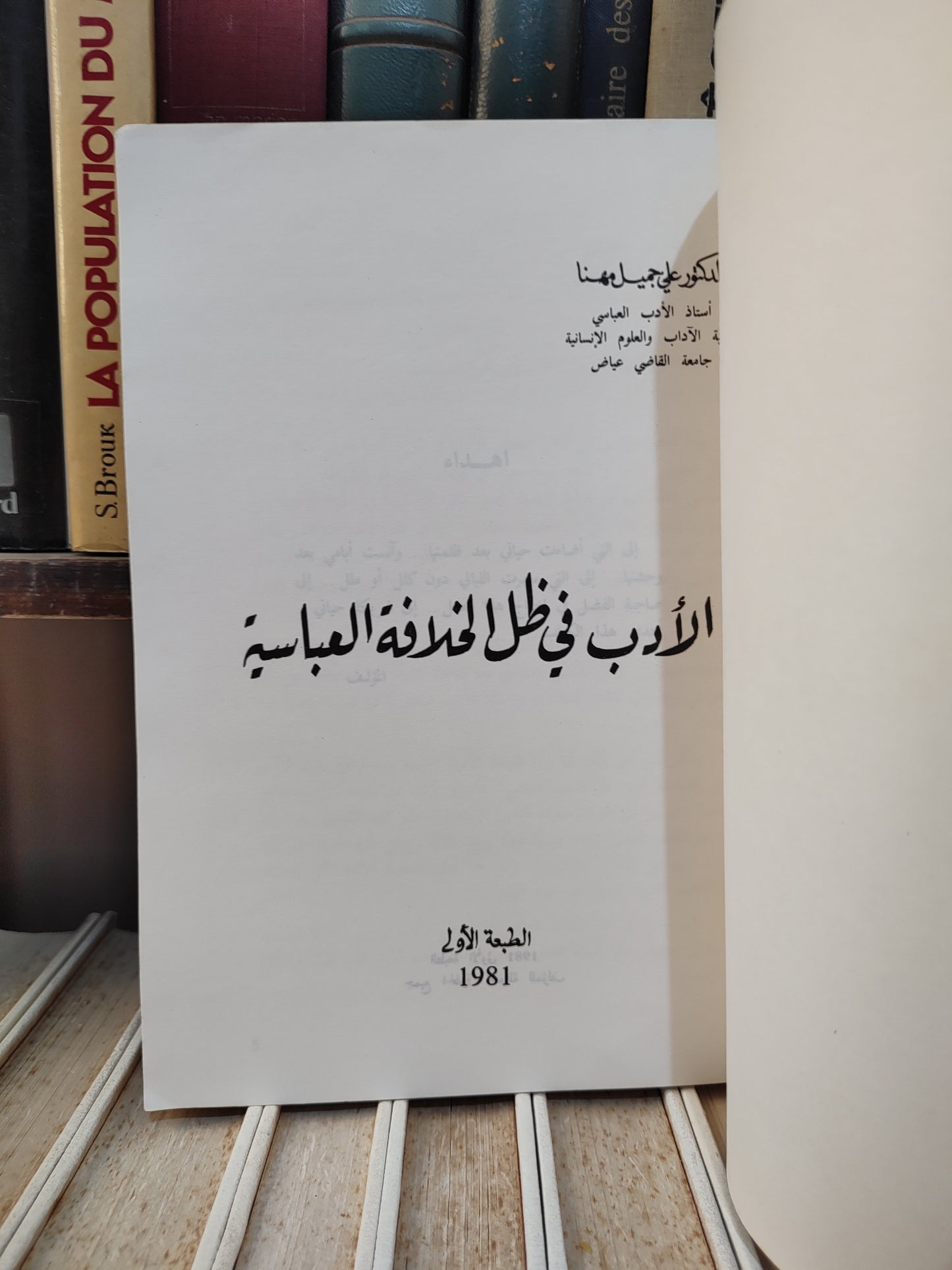 مهنا - الادب في ظل الخلافة العباسية