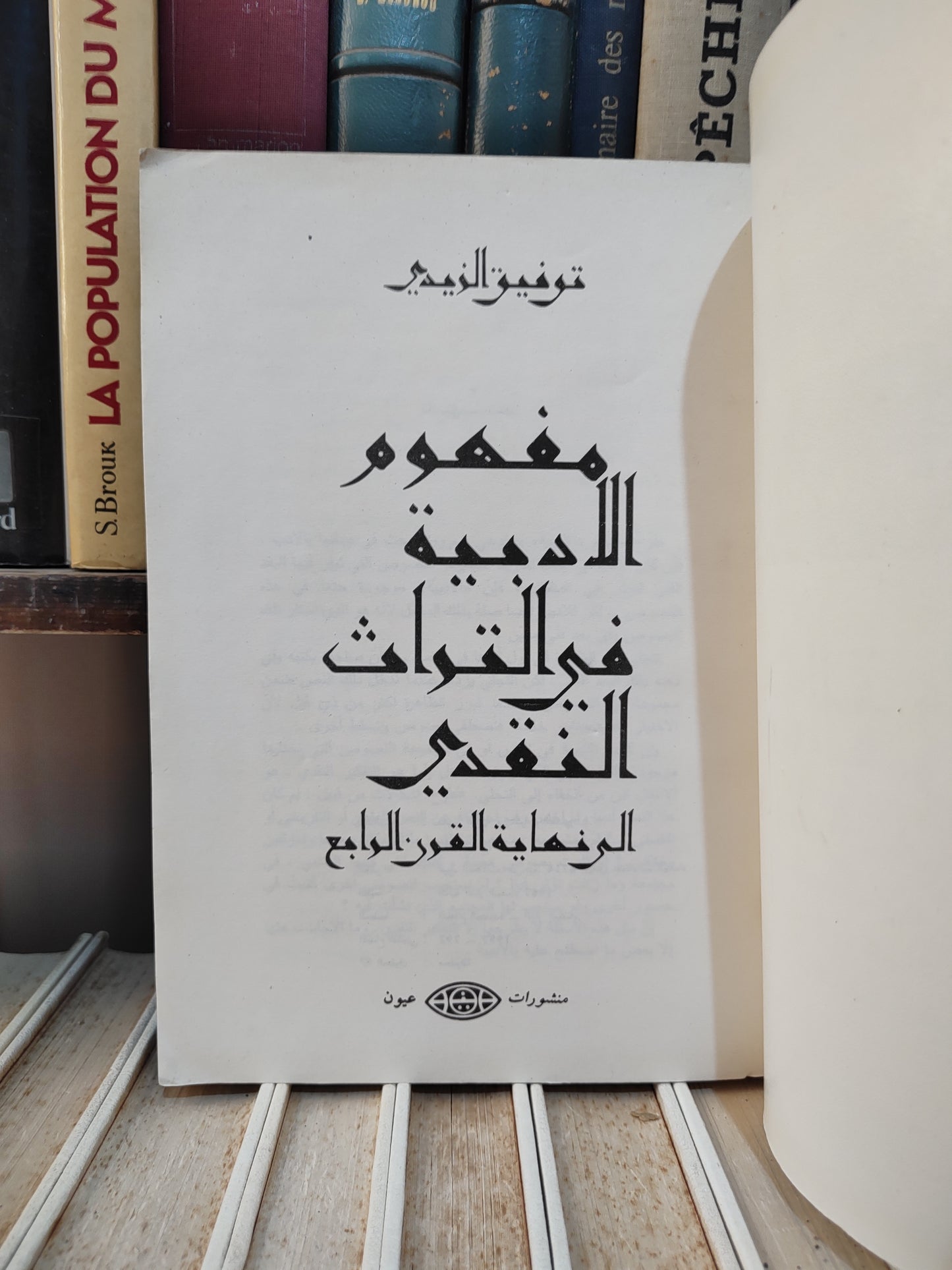 الزيدي - مفهوم الادبية في التراث النقدي
