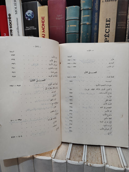 قلقيلة - النقد الادبي في المغرب العربي