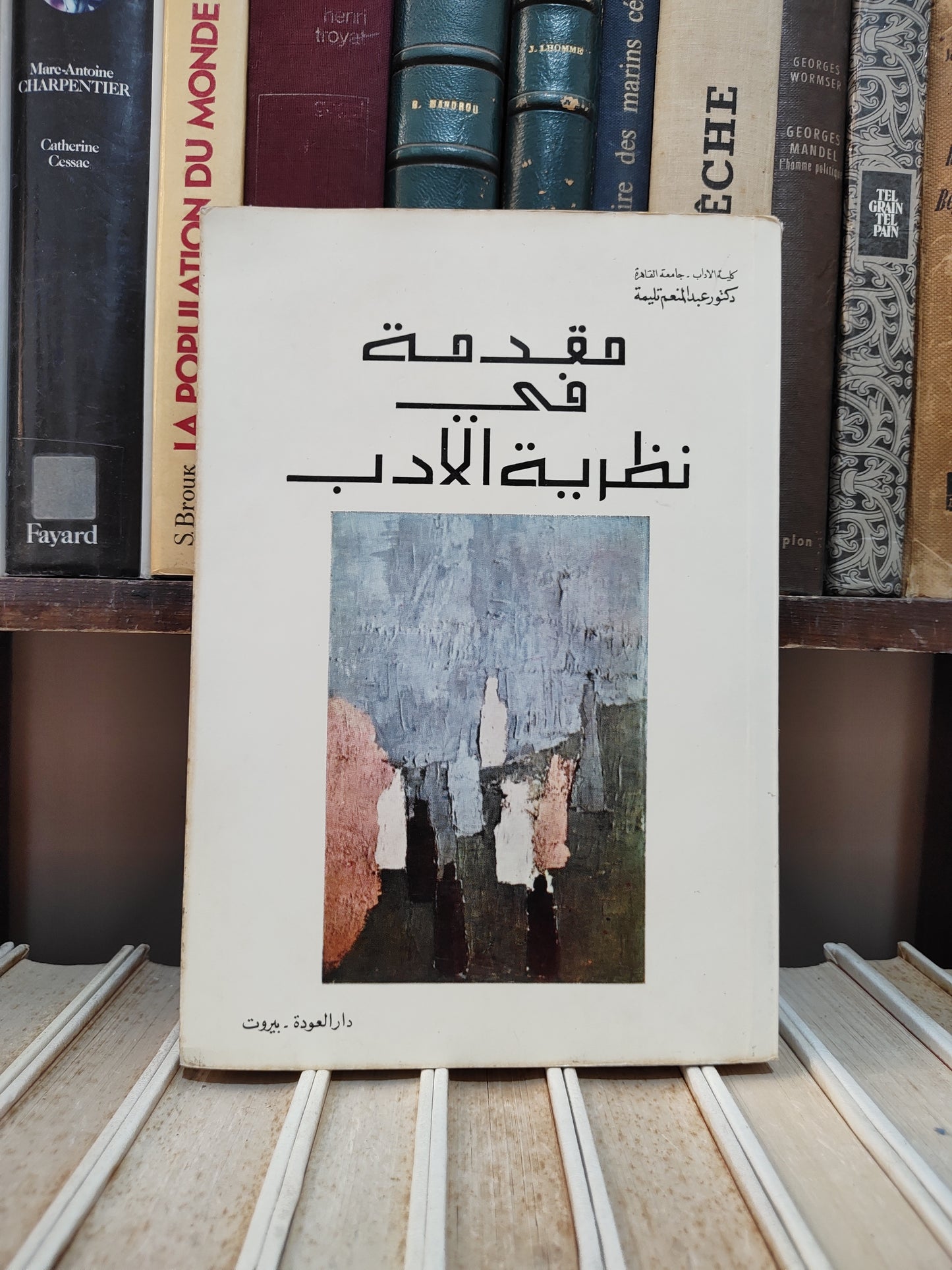 تليمة - مقدمة في نظرية الأدب