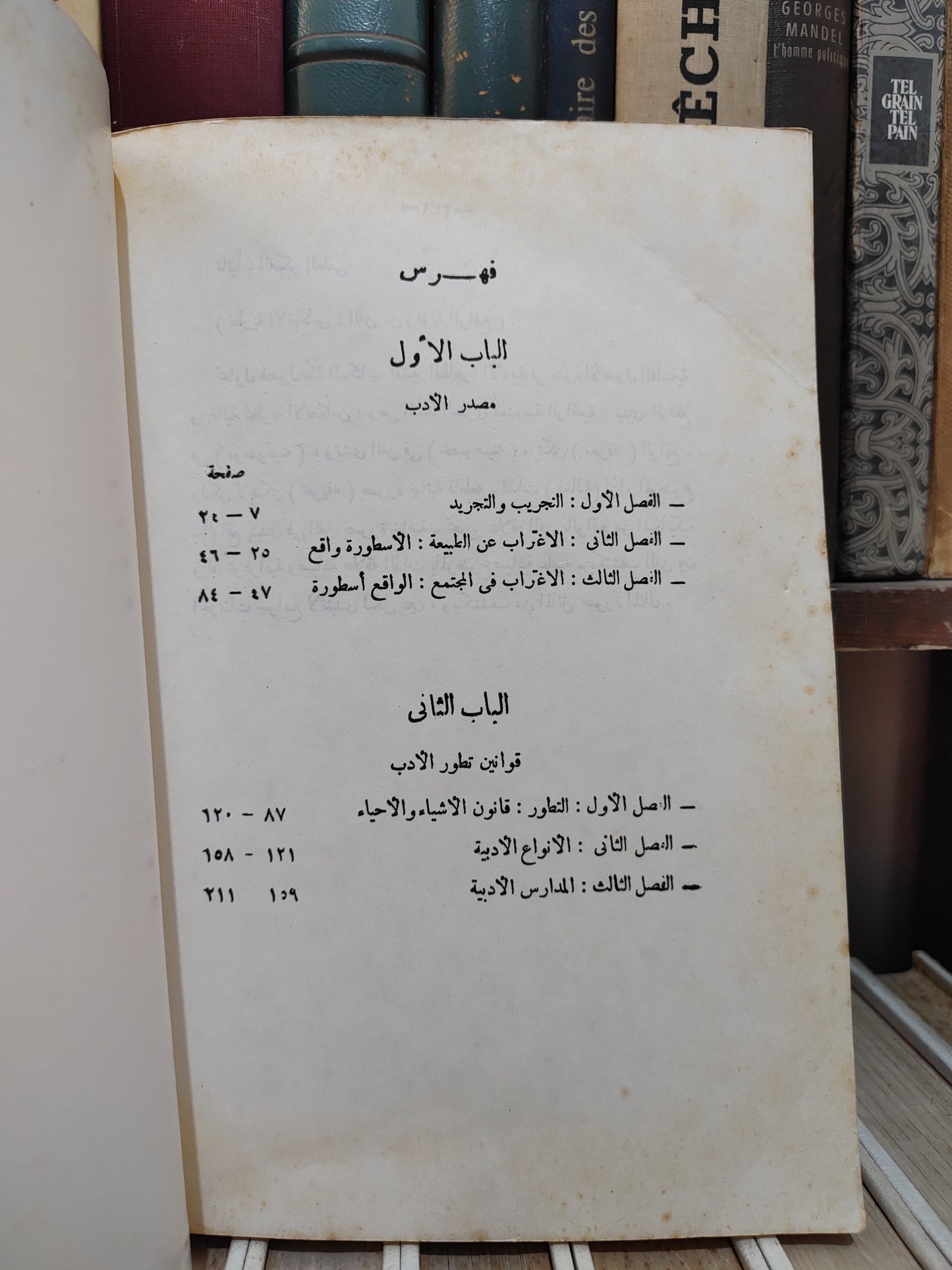 تليمة - مقدمة في نظرية الأدب