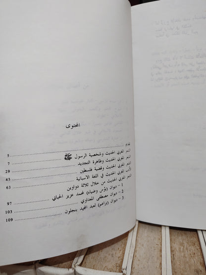 الوراكلي - نظرات في الأدب المغربي الحديث