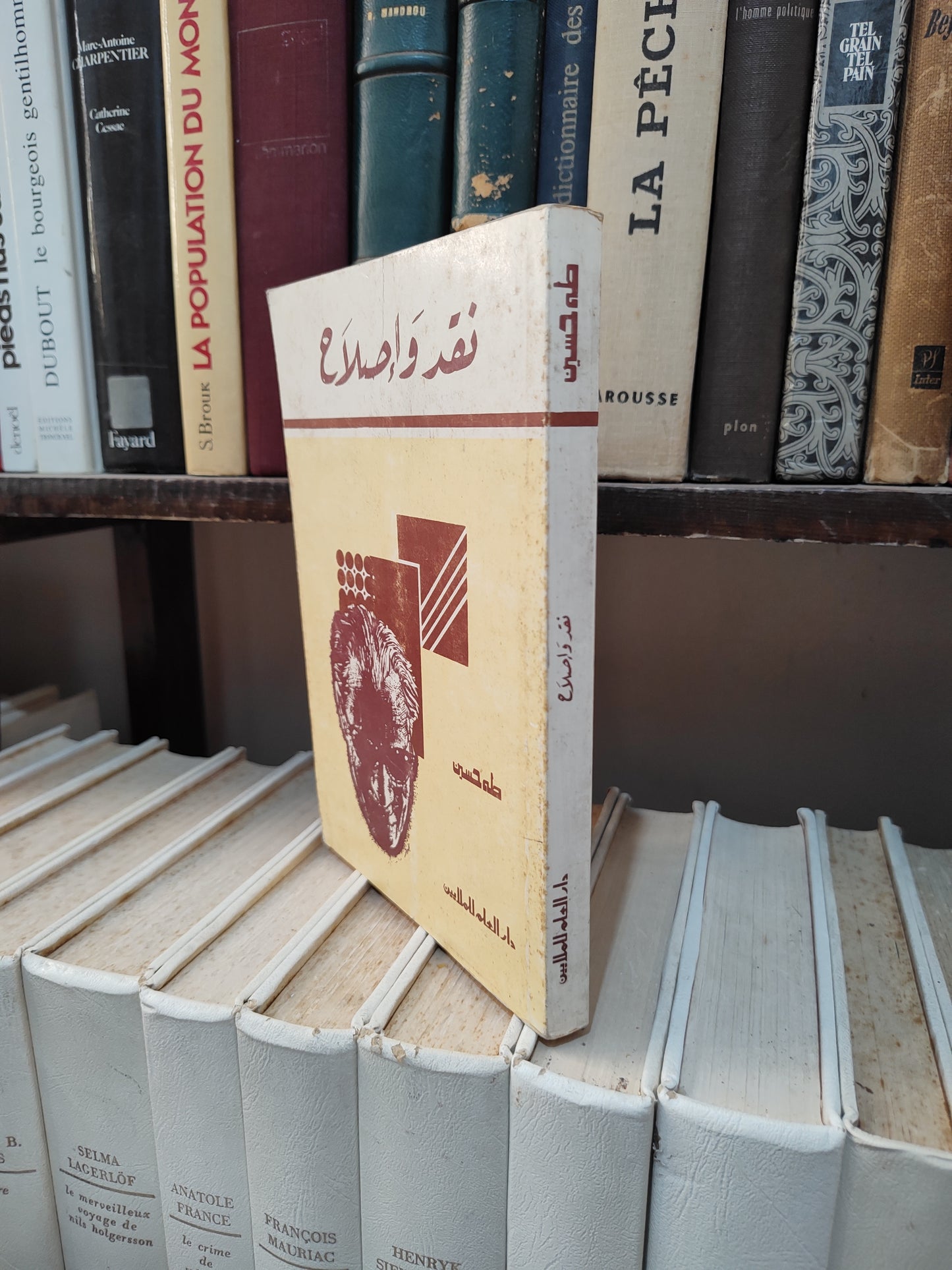 طه حسين - نقد و اصلاح
