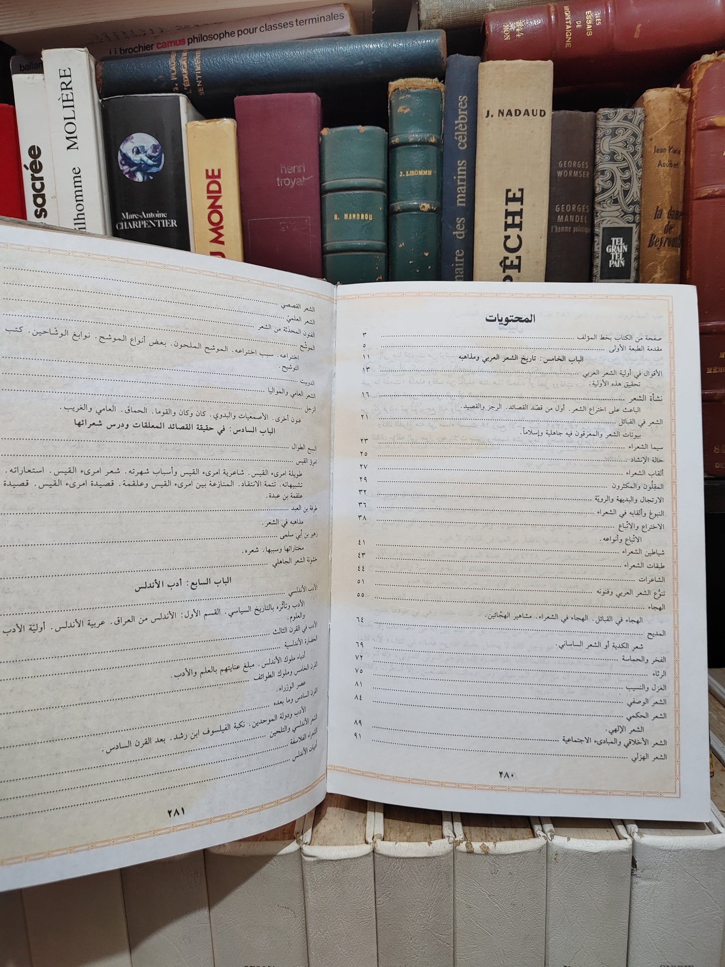 الرفاعي - تاريغ اداب العرب