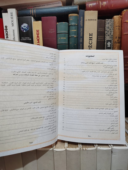 الرفاعي - تاريغ اداب العرب