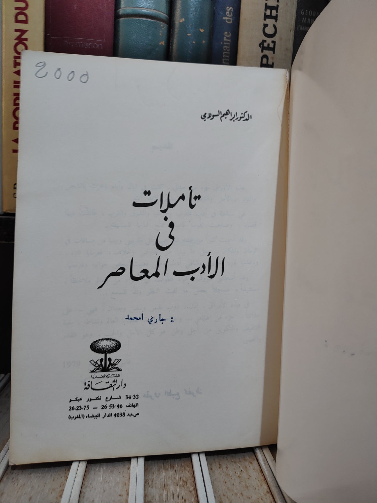 السولامي - تأملات في الأدب المعاصر