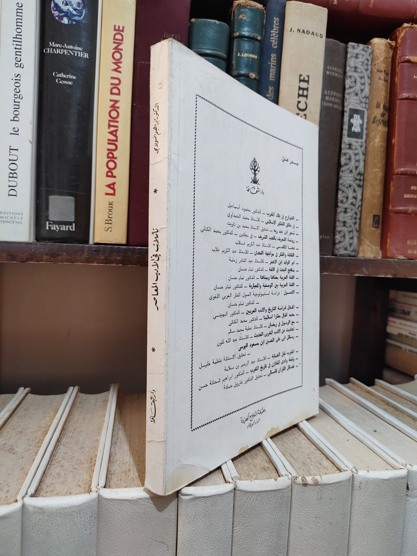 السولامي - تأملات في الأدب المعاصر