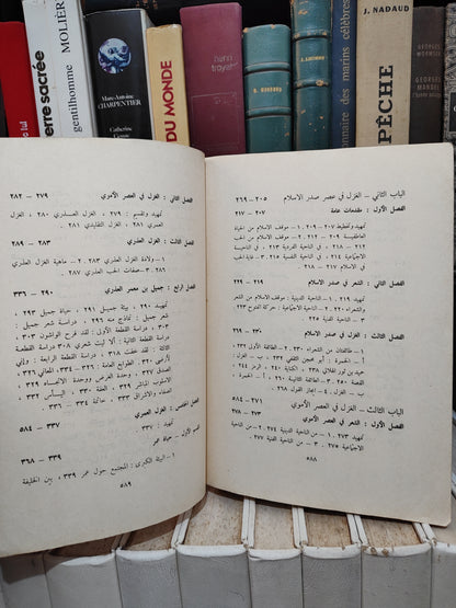 فيصل - تطور الغزل بين الجاهلية و الاسلام