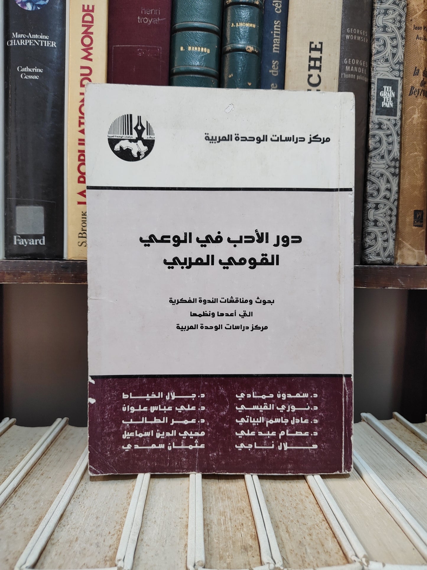 دور الادب في الوعي القومي العربي