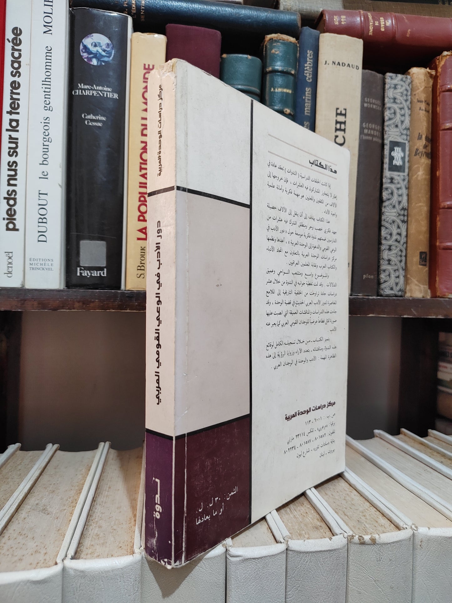 دور الادب في الوعي القومي العربي