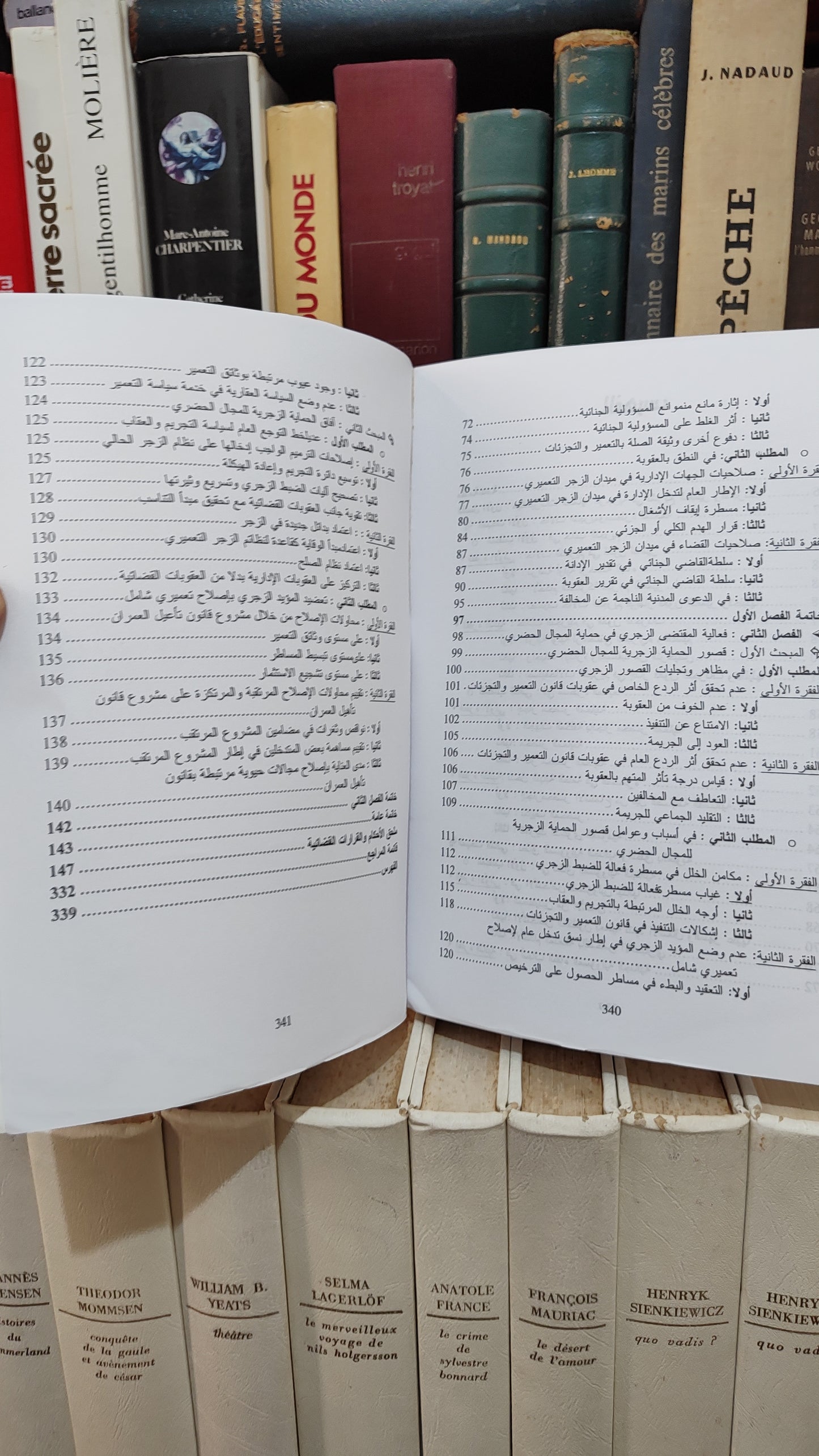 عسري - دور القاضي الجنائي في حل منازعات التعميير و التجزئات
