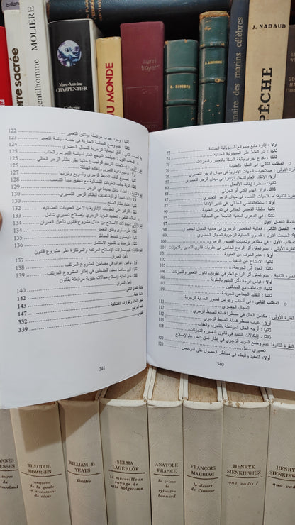 عسري - دور القاضي الجنائي في حل منازعات التعميير و التجزئات
