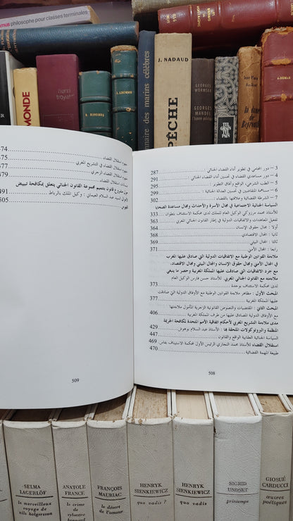 السياسة الجنائية بالمغرب واقع و افاق المجلد 1