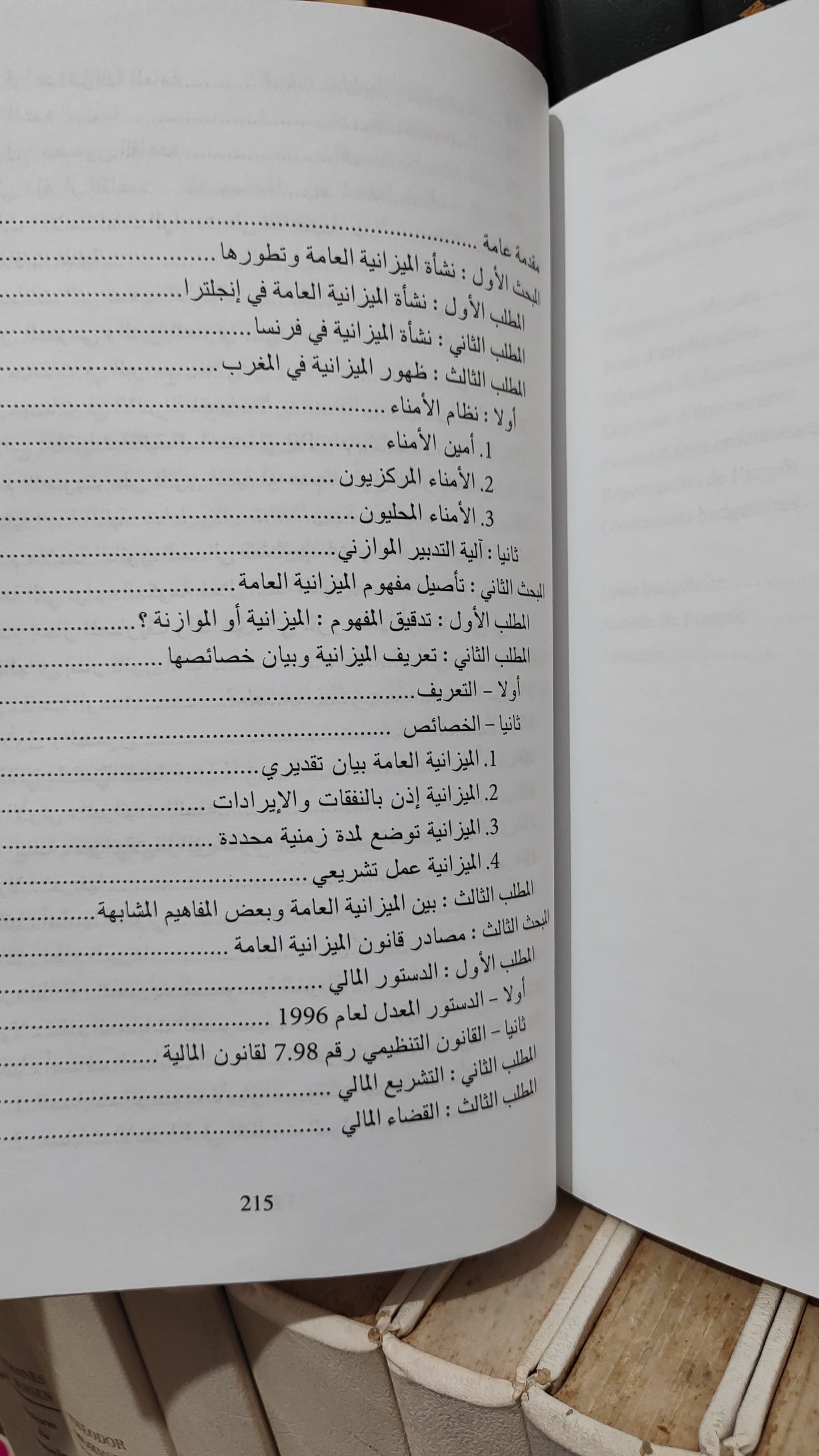 منصور - قانون الميزانية العامة