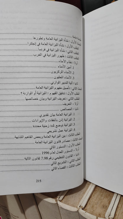 منصور - قانون الميزانية العامة