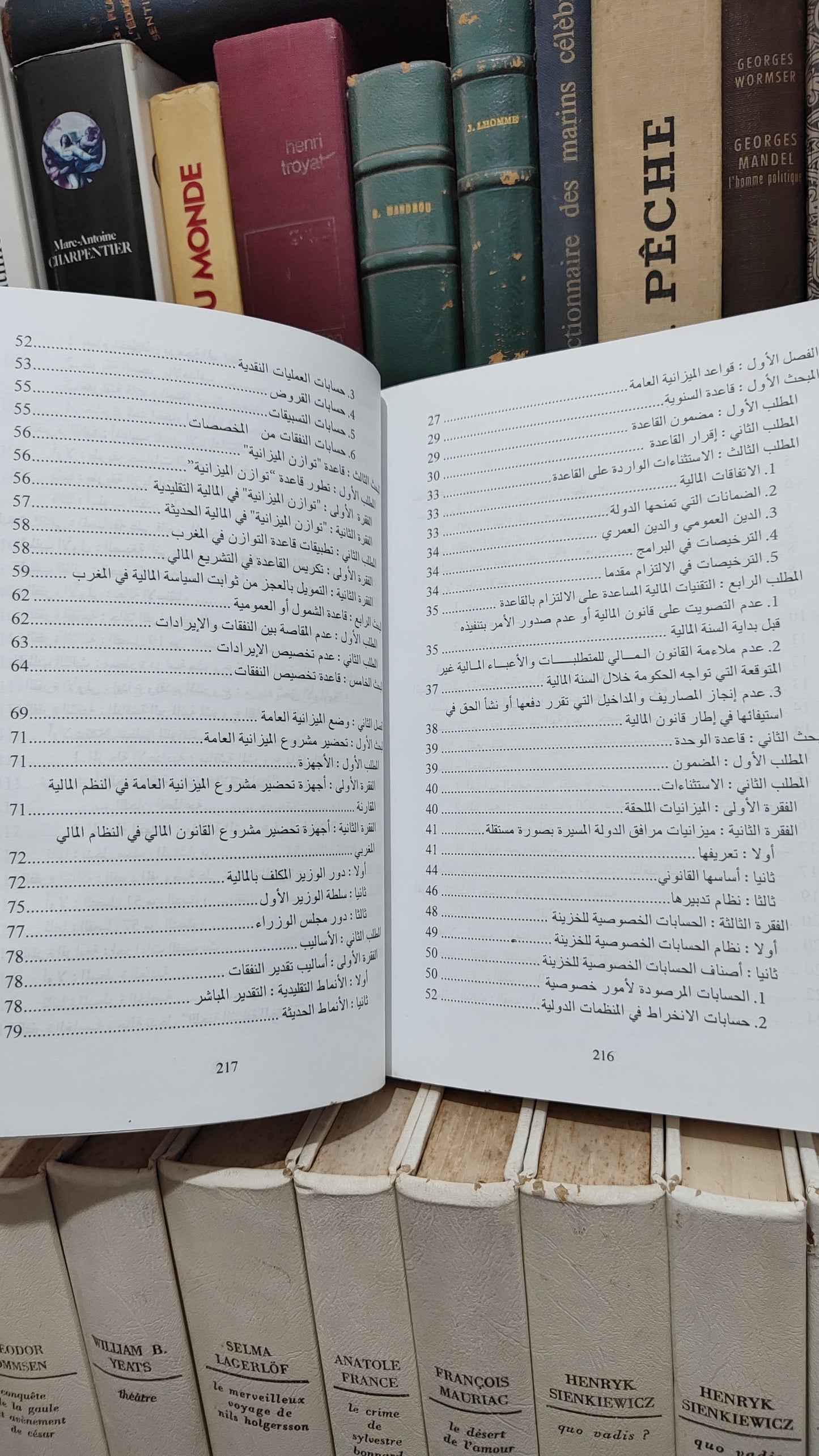 منصور - قانون الميزانية العامة