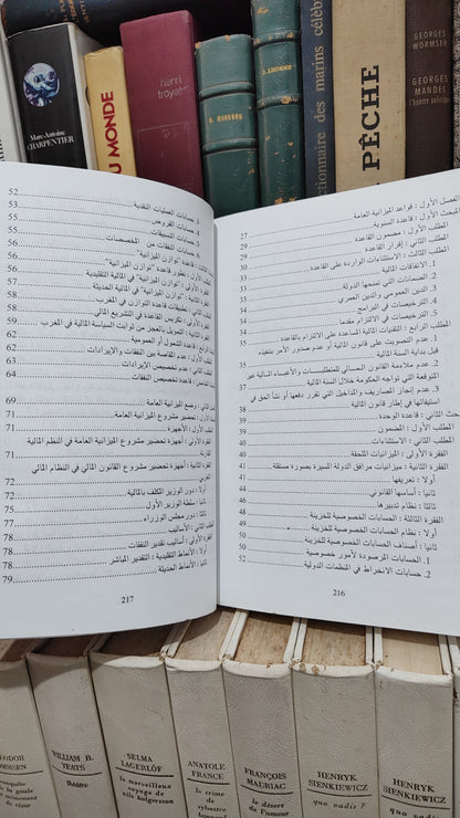 منصور - قانون الميزانية العامة