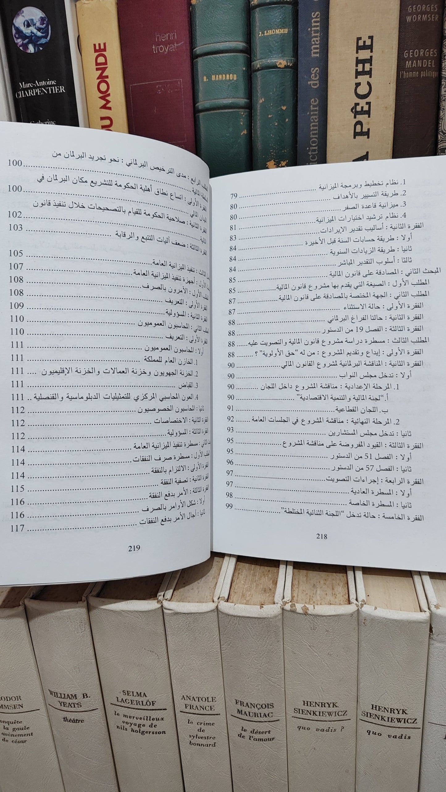 منصور - قانون الميزانية العامة