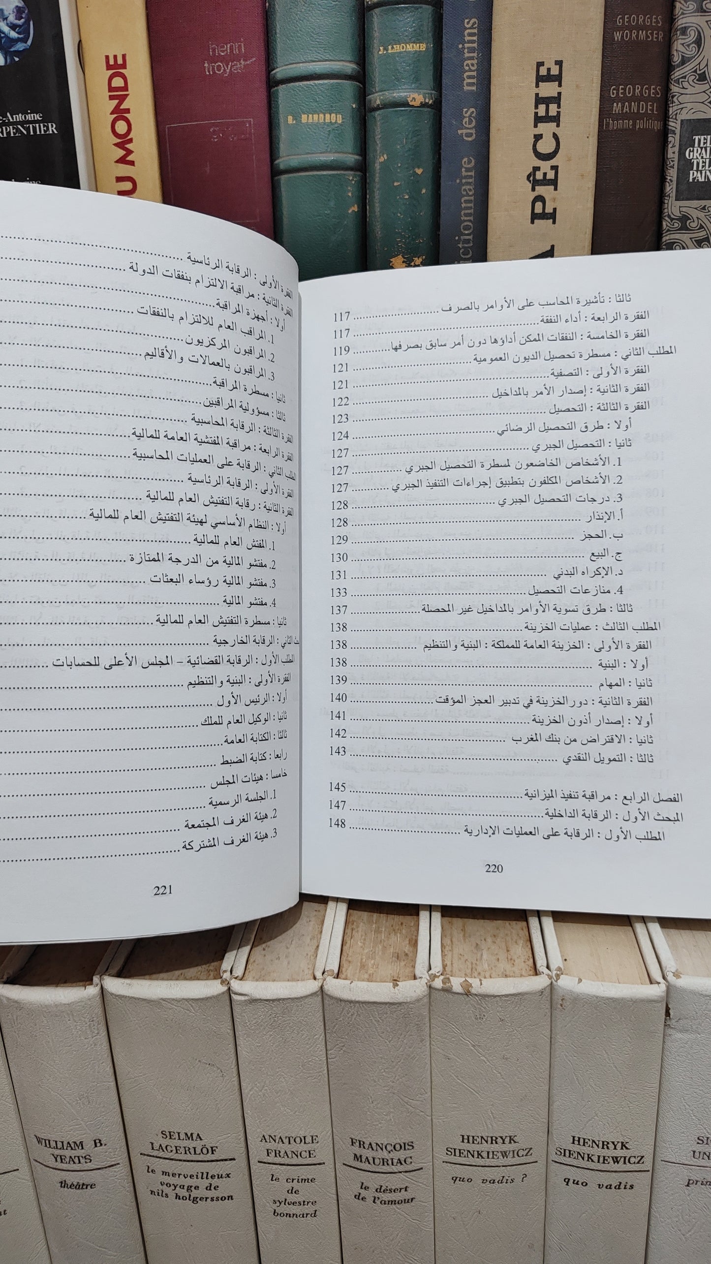 منصور - قانون الميزانية العامة