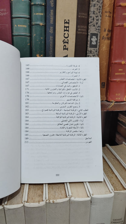 منصور - قانون الميزانية العامة