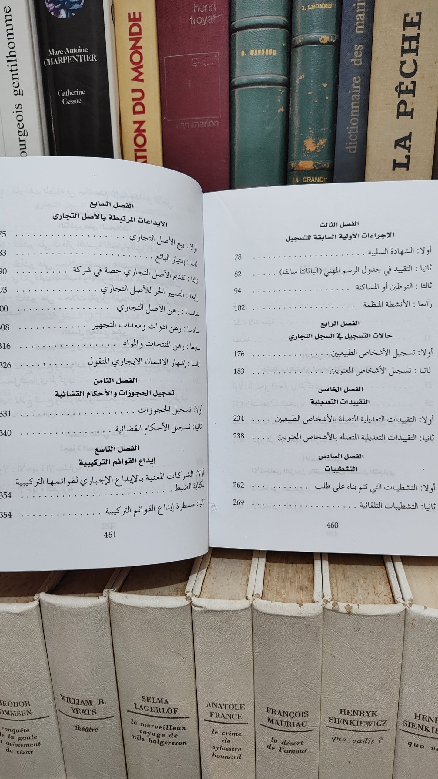 المهدي شبو - الدليل العملي في السجل التجالري