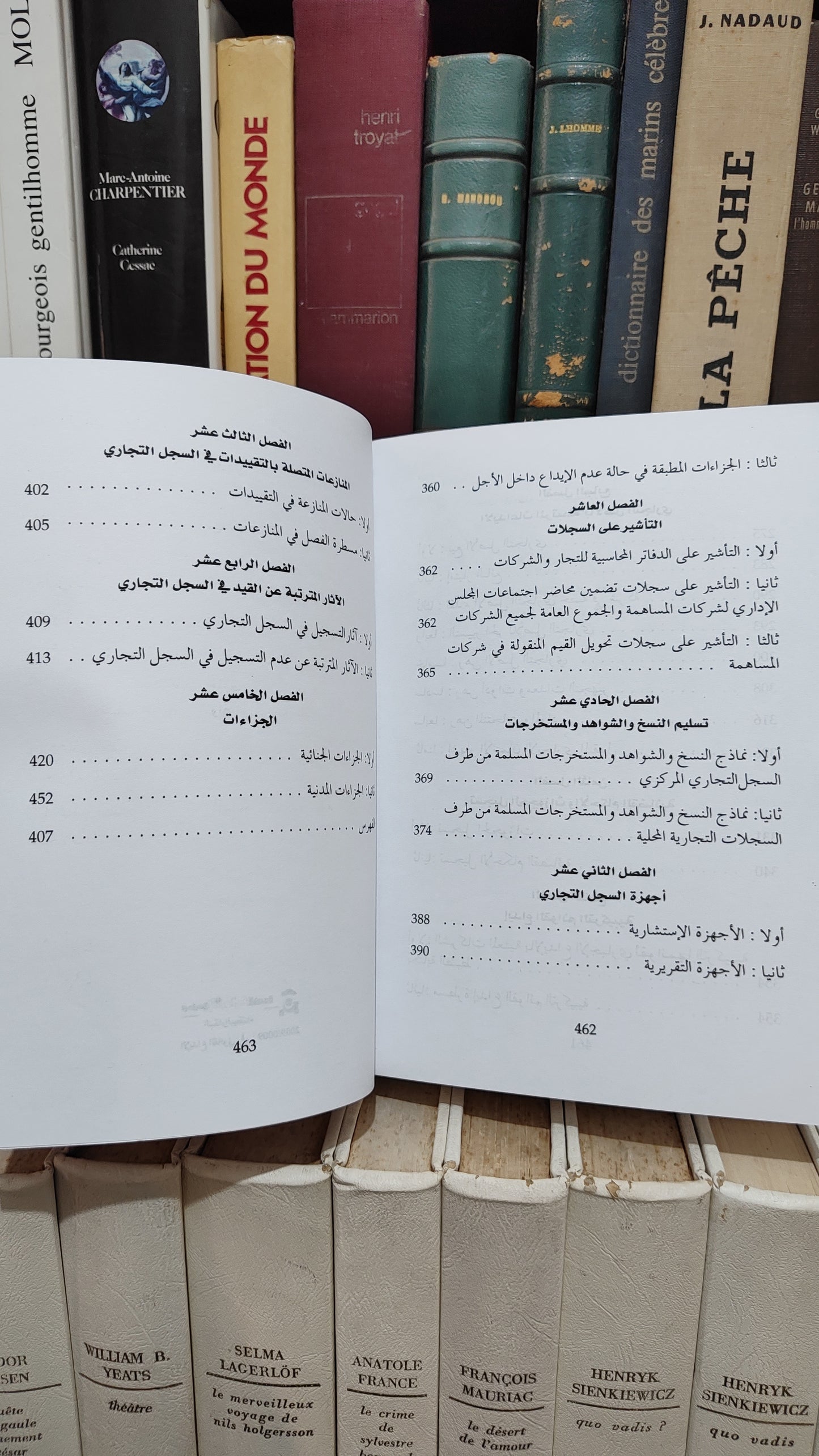 المهدي شبو - الدليل العملي في السجل التجالري