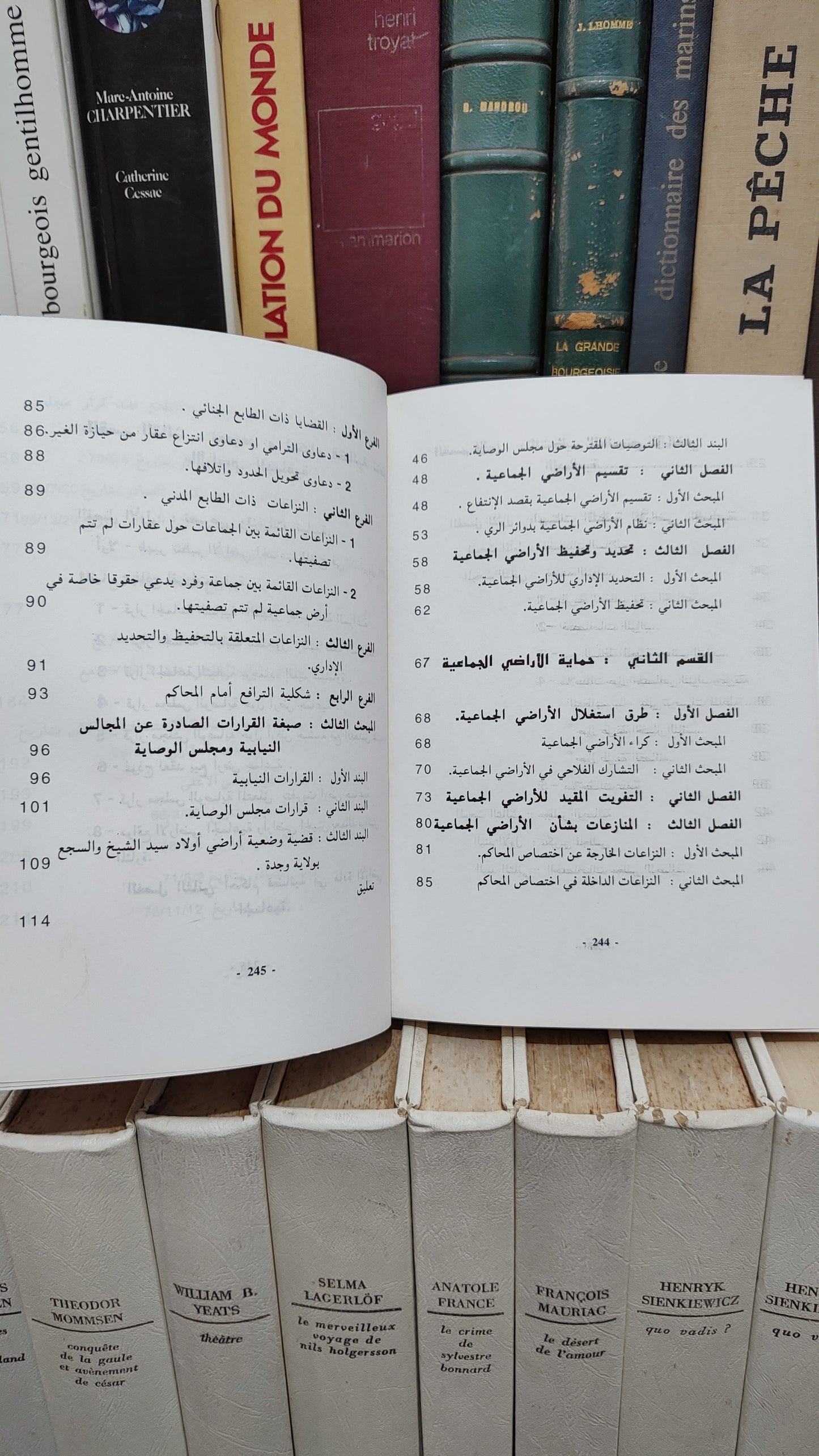 رافع - اراضي الجموع بين التنظيم و الوصاية