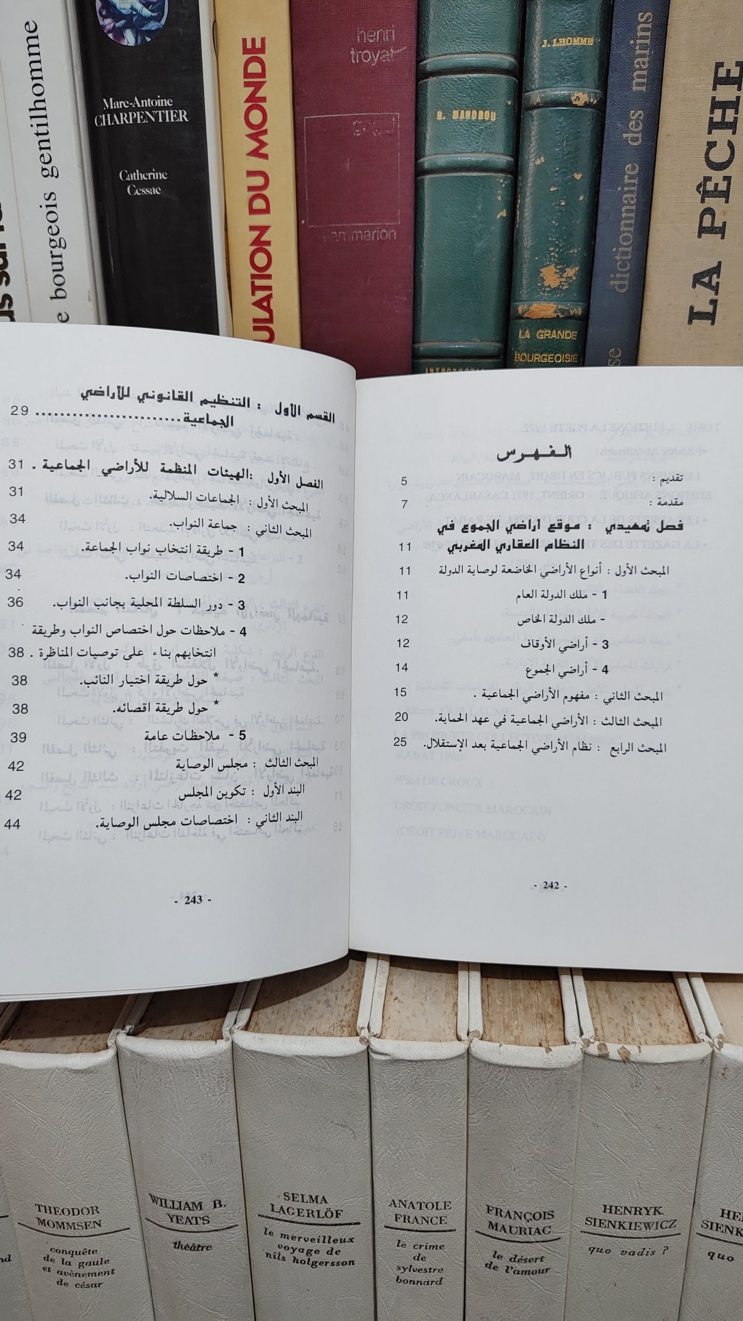 رافع - اراضي الجموع بين التنظيم و الوصاية