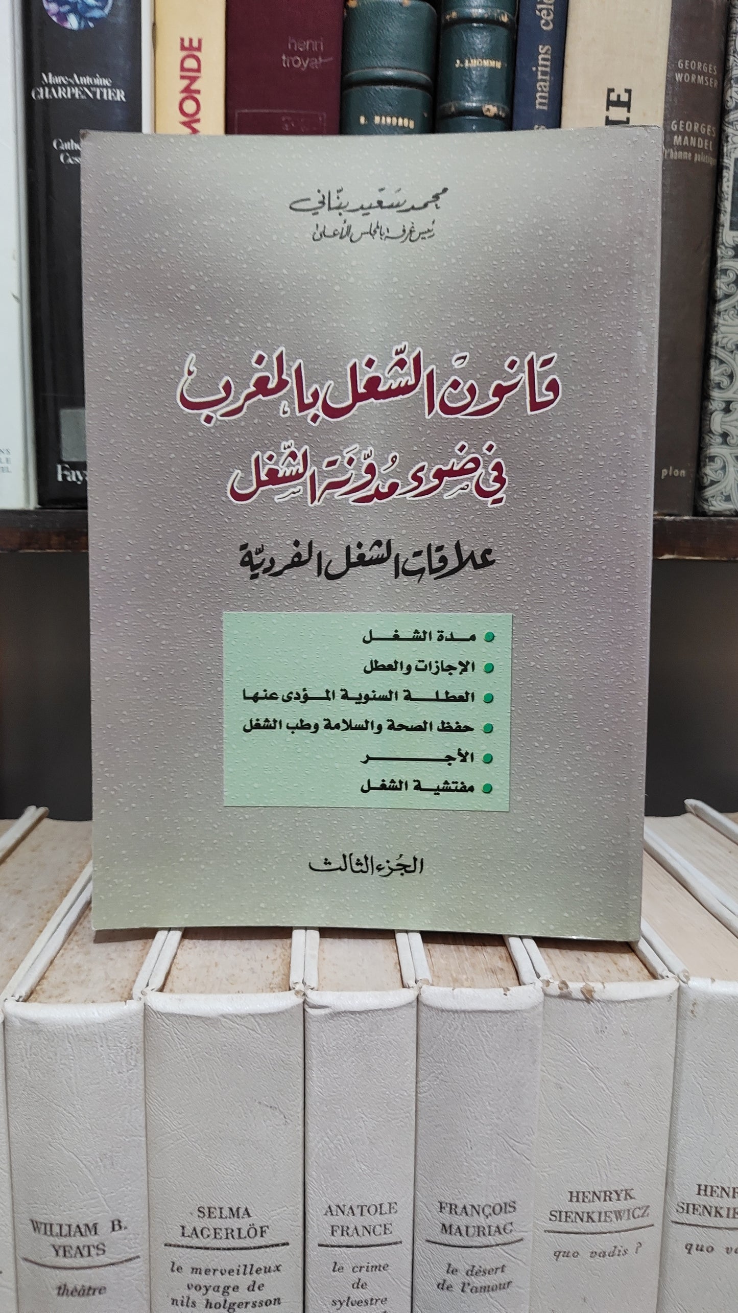 بناني - قانون الشغل بالمغرب في ضوء مدونة الشغل علاقات الشغل الفردسة جزء 3