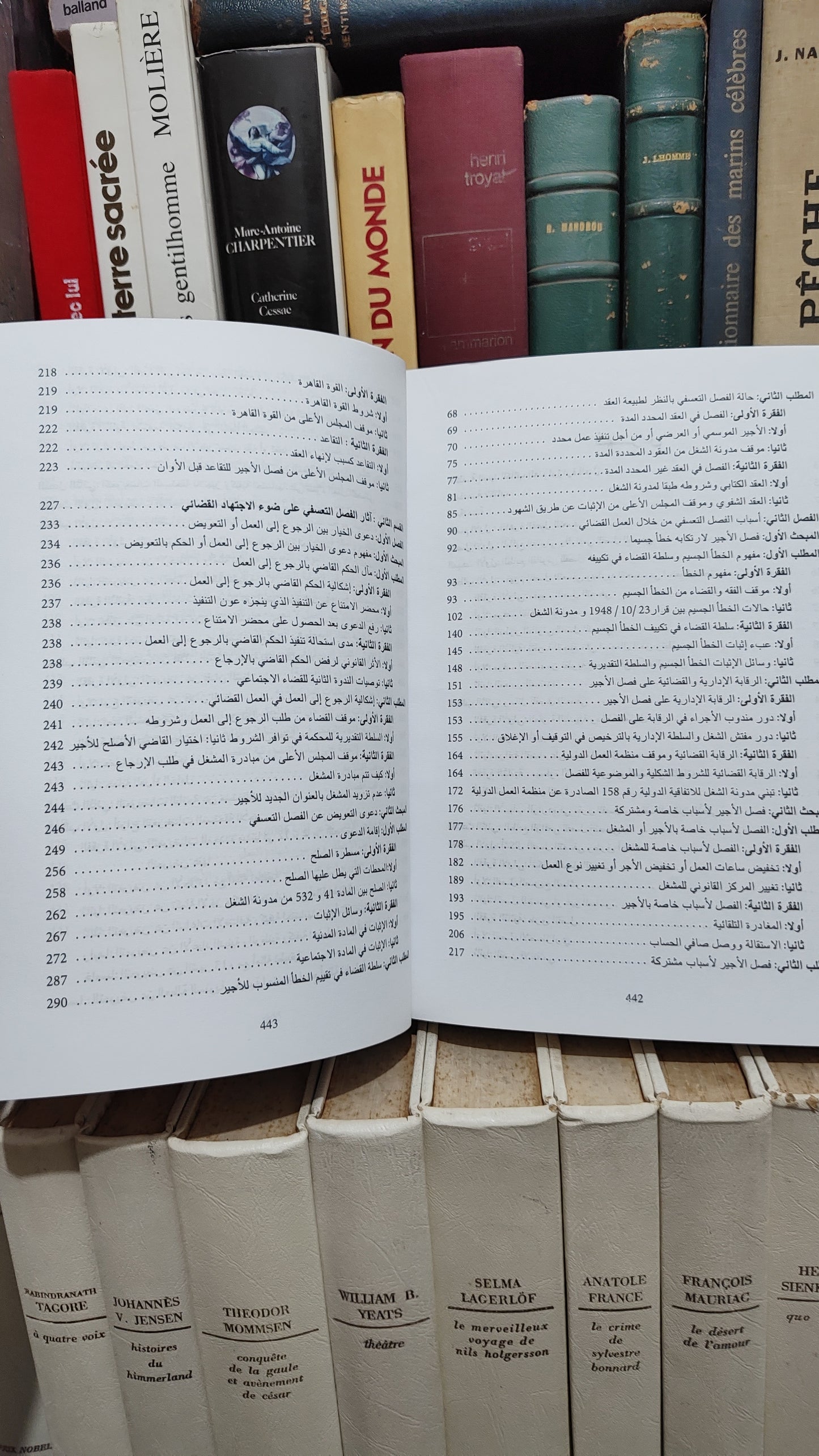 العلوي - الفصل التعسفي للاجير على ضوء العمل القضائي