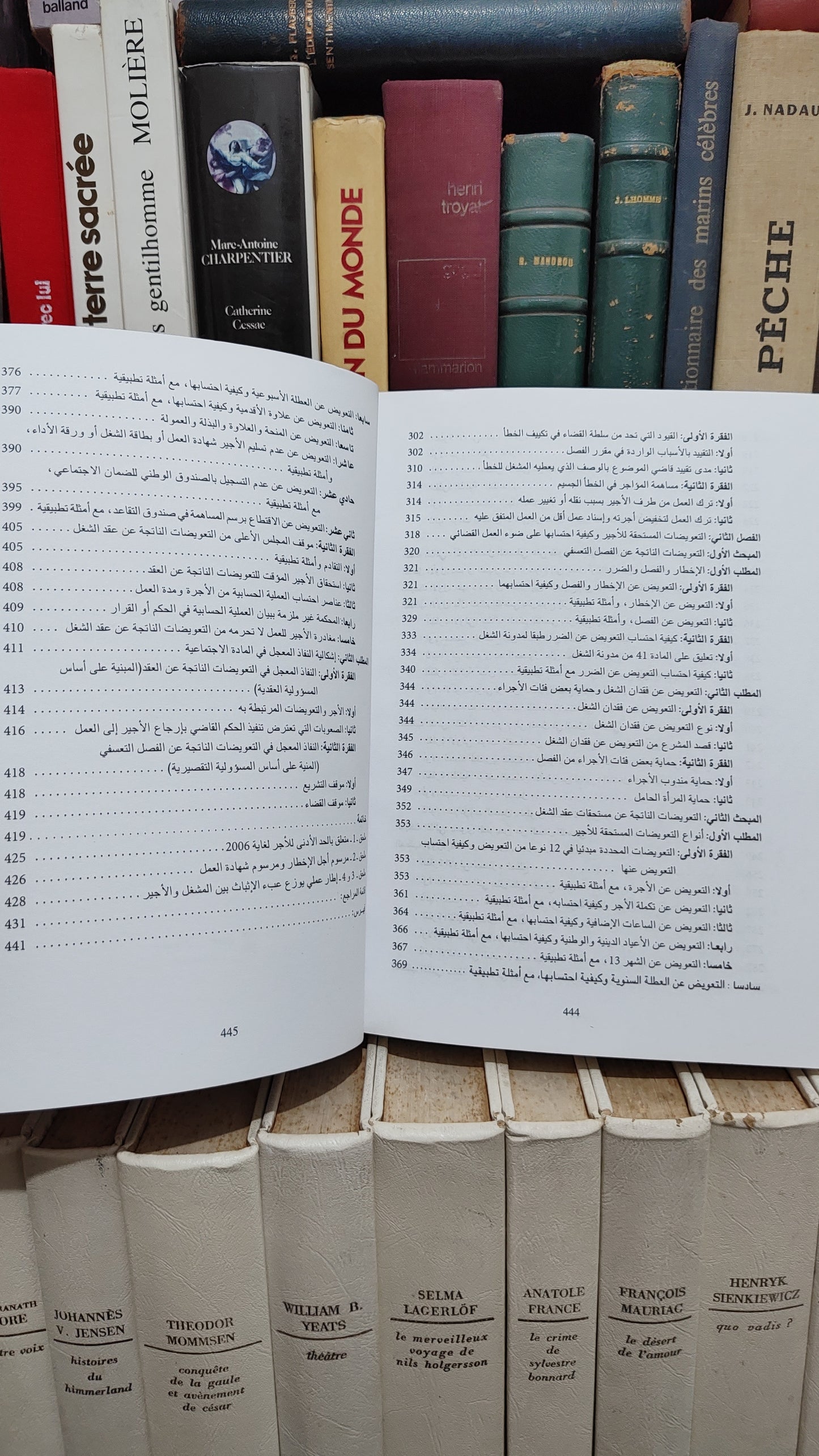 العلوي - الفصل التعسفي للاجير على ضوء العمل القضائي