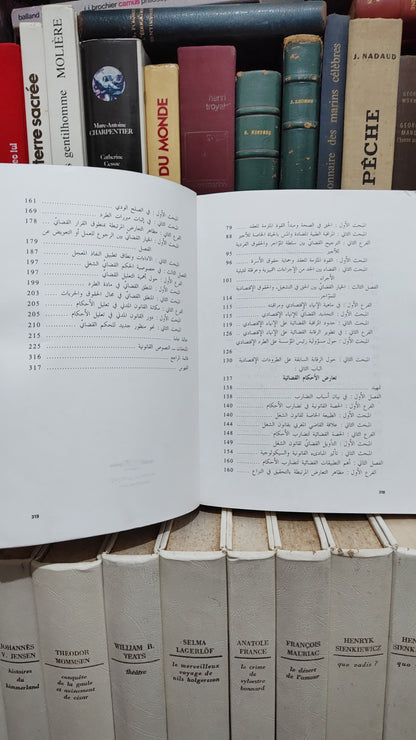 سعيد - العمل القضائي المغربي في مجال نزاعات الشغل الفرضية