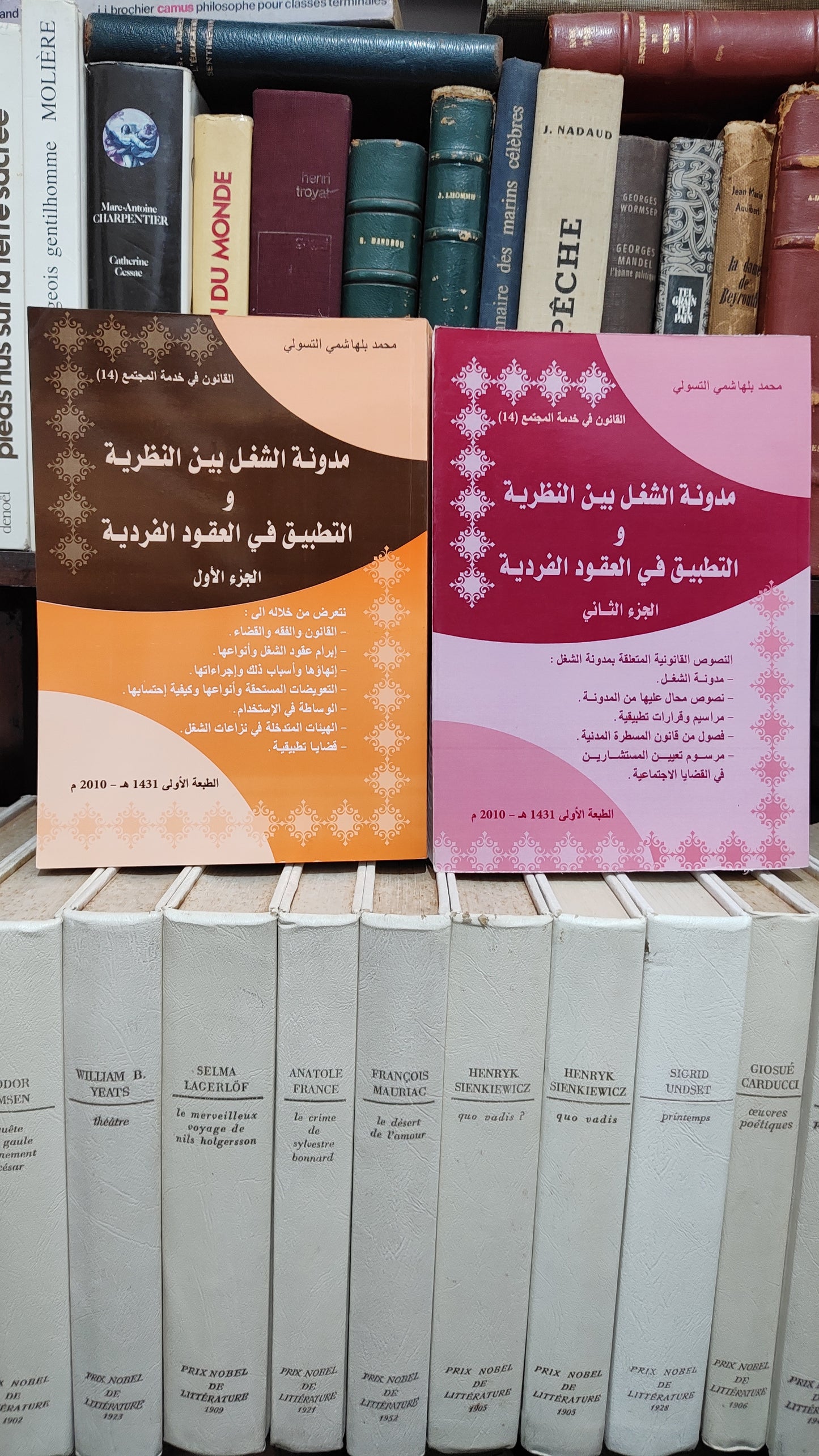 التسولي - مدونة الشغل بين النظرية و التطبيق في العقودالفردية جزء 1