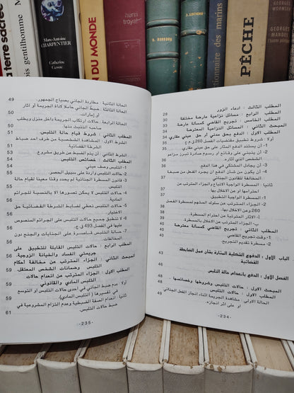 الشتوي - الدفوع الشكلية و المساءل الأولية أمام القضاء الجزري