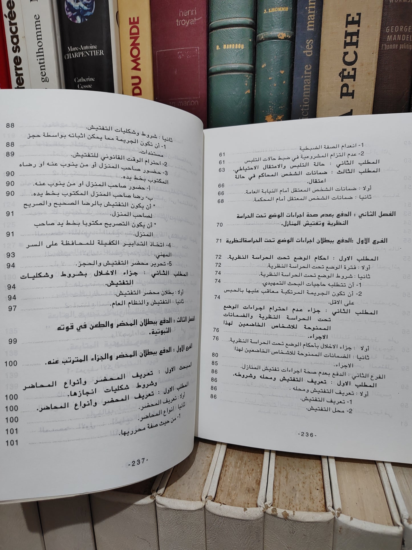 الشتوي - الدفوع الشكلية و المساءل الأولية أمام القضاء الجزري