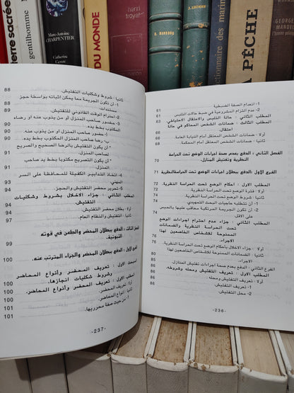 الشتوي - الدفوع الشكلية و المساءل الأولية أمام القضاء الجزري