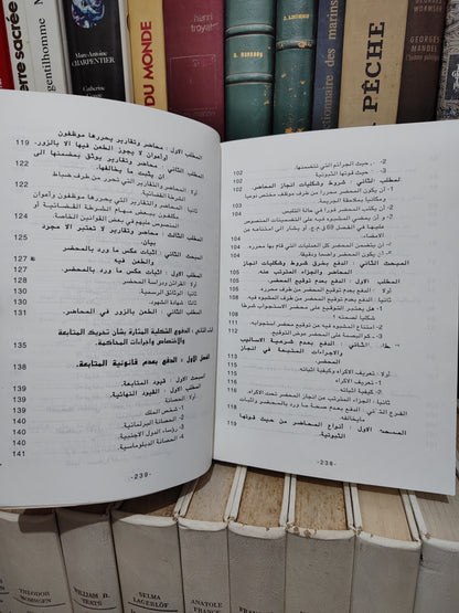 الشتوي - الدفوع الشكلية و المساءل الأولية أمام القضاء الجزري