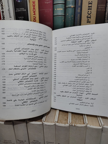 الشتوي - الدفوع الشكلية و المساءل الأولية أمام القضاء الجزري