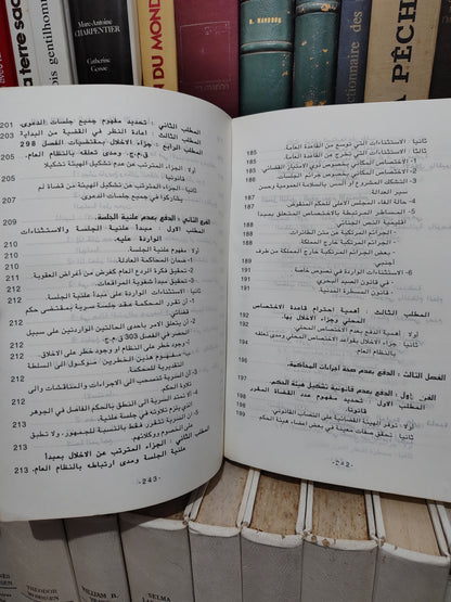 الشتوي - الدفوع الشكلية و المساءل الأولية أمام القضاء الجزري