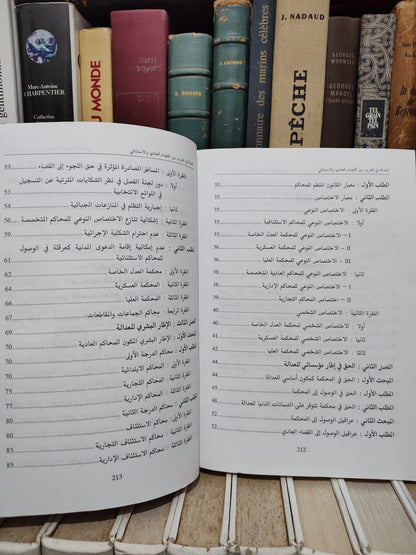 الودغيري - العدالة في المغرب بين القضاء العادي و الاستثنائي