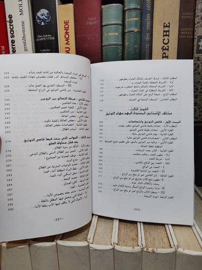 الشتوي - المعين في الثوتيق وفق الضوابط المنظمة لخطة العدالة