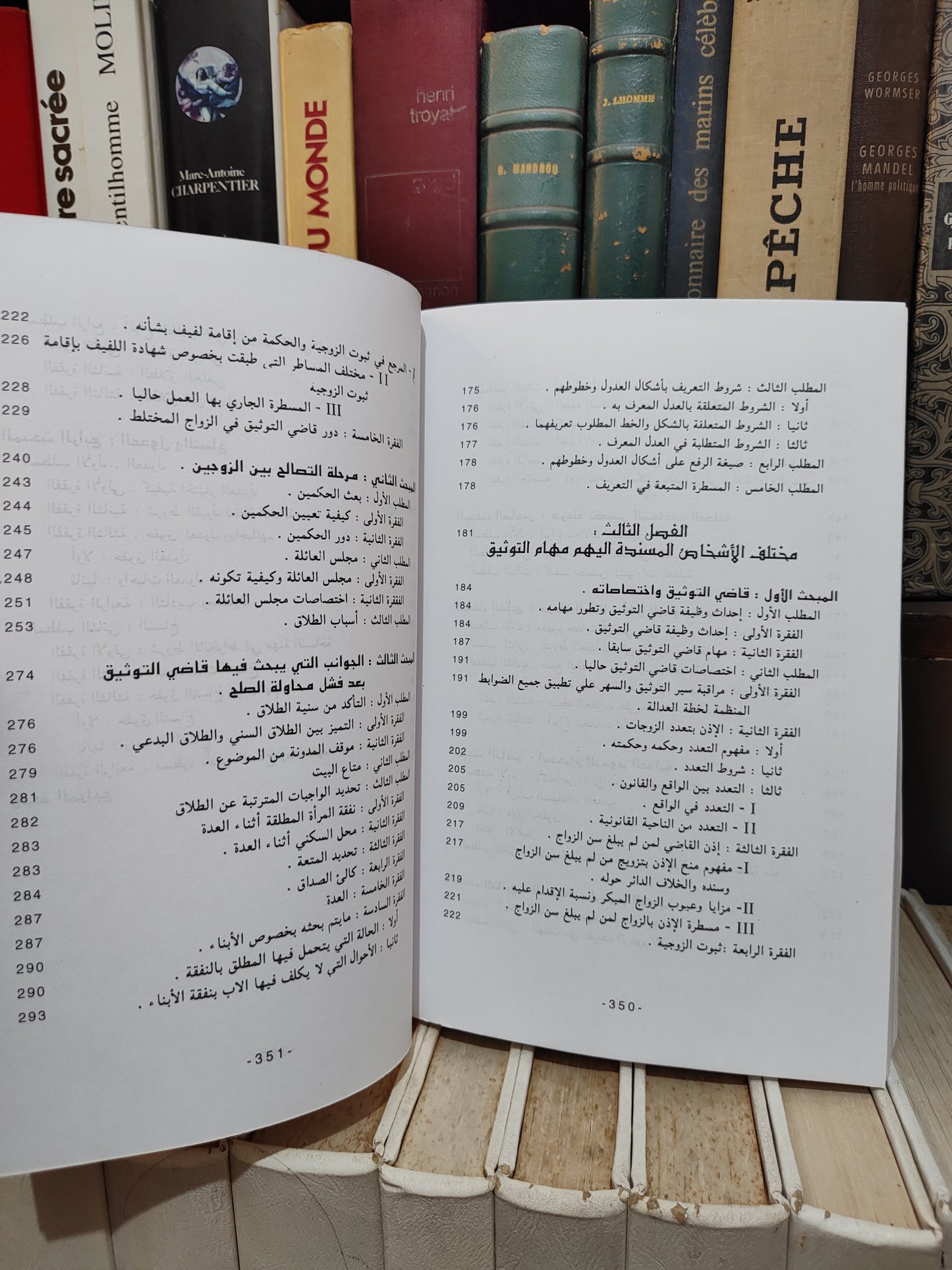 الشتوي - المعين في الثوتيق وفق الضوابط المنظمة لخطة العدالة