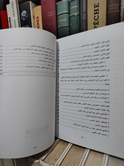 الرملي - المختصر في التنظيم القضائي المغربي