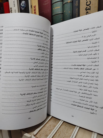 الرملي - المختصر في التنظيم القضائي المغربي