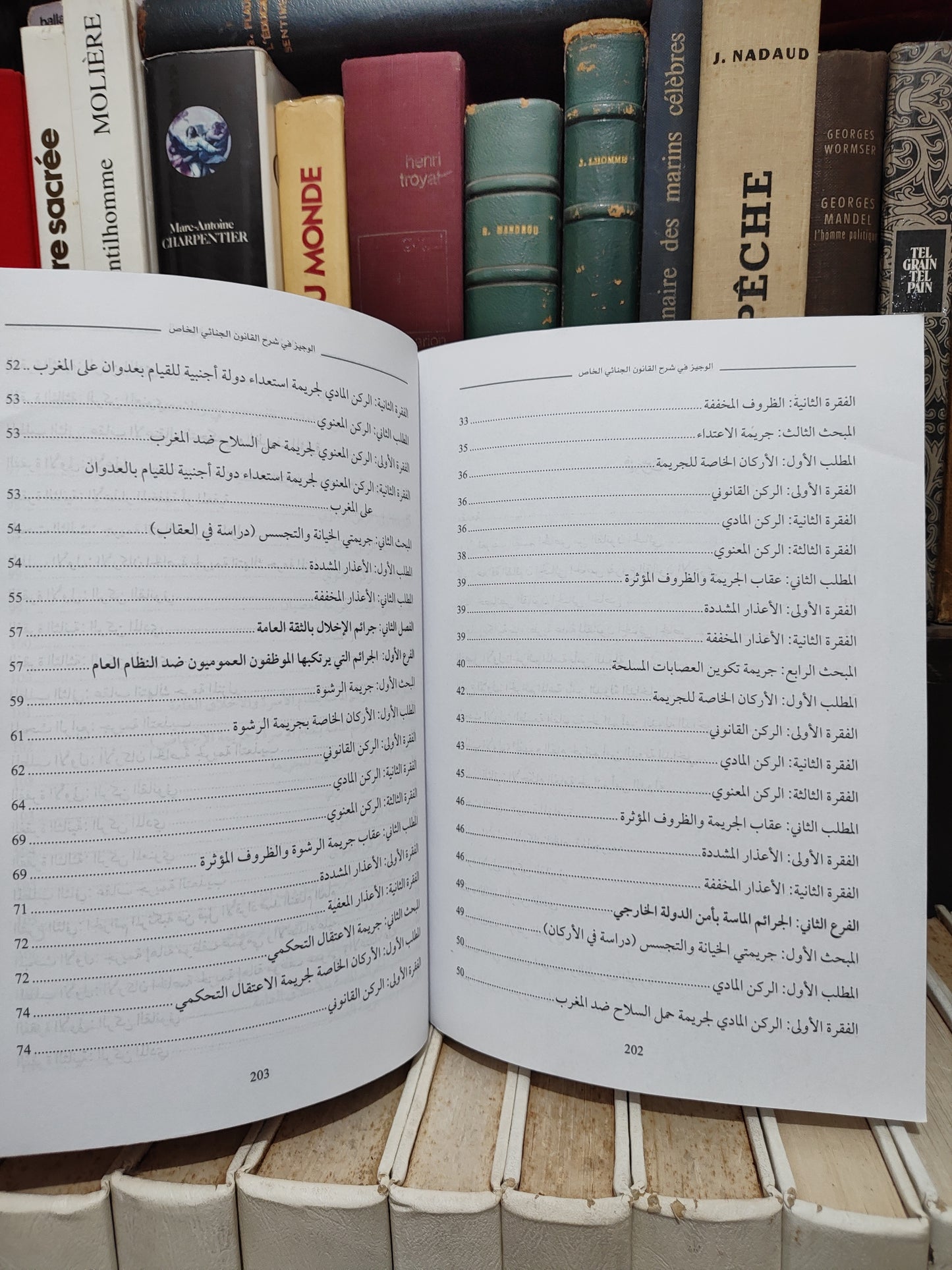 قيلش - الوجيز في شرح القانون الجنائي المغربي