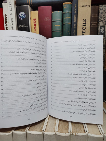 قيلش - الوجيز في شرح القانون الجنائي المغربي