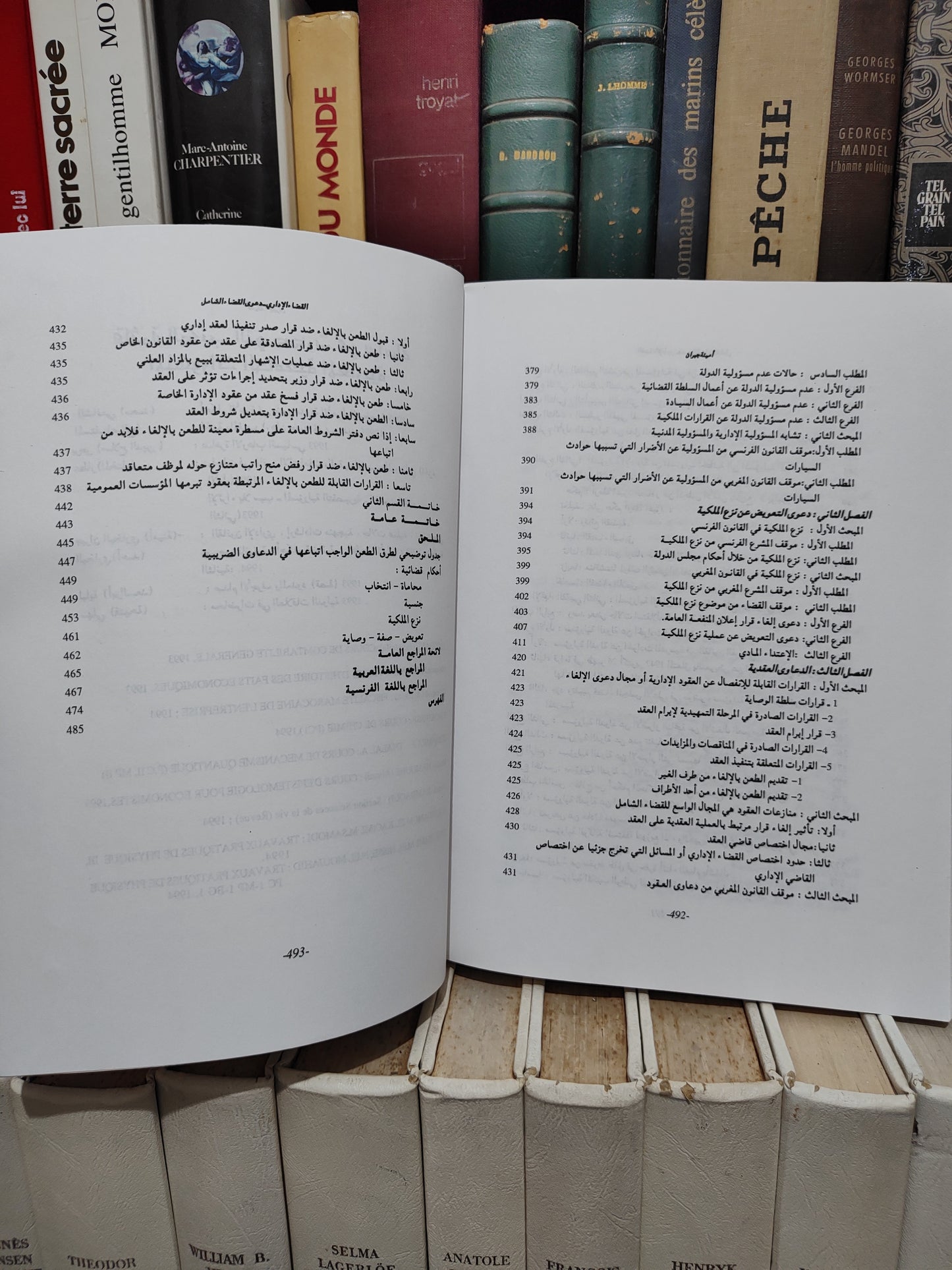 البخاري - القضاء الاداريي