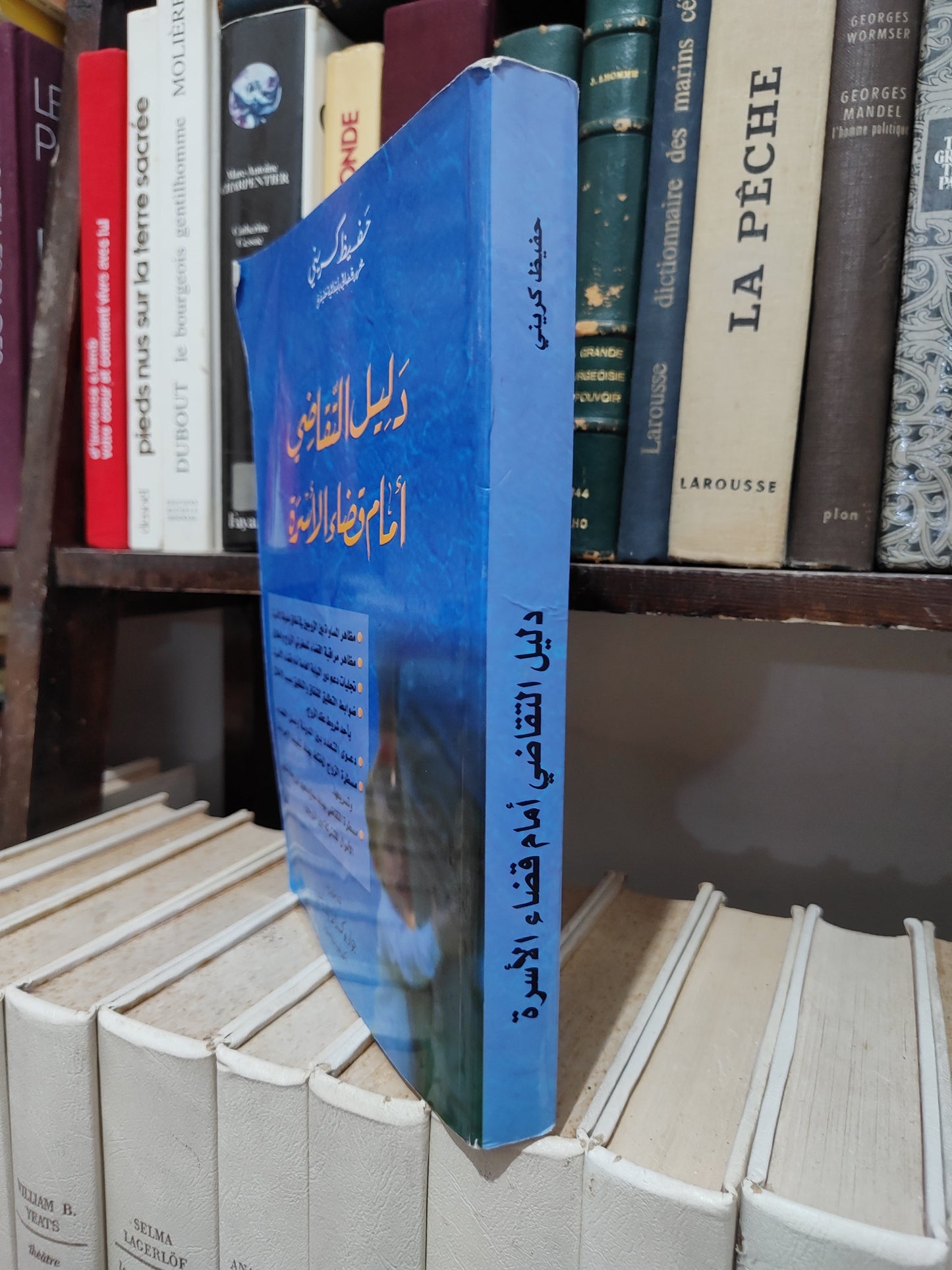 كريني - دليل التقاضي أمام قضاء الأسرة