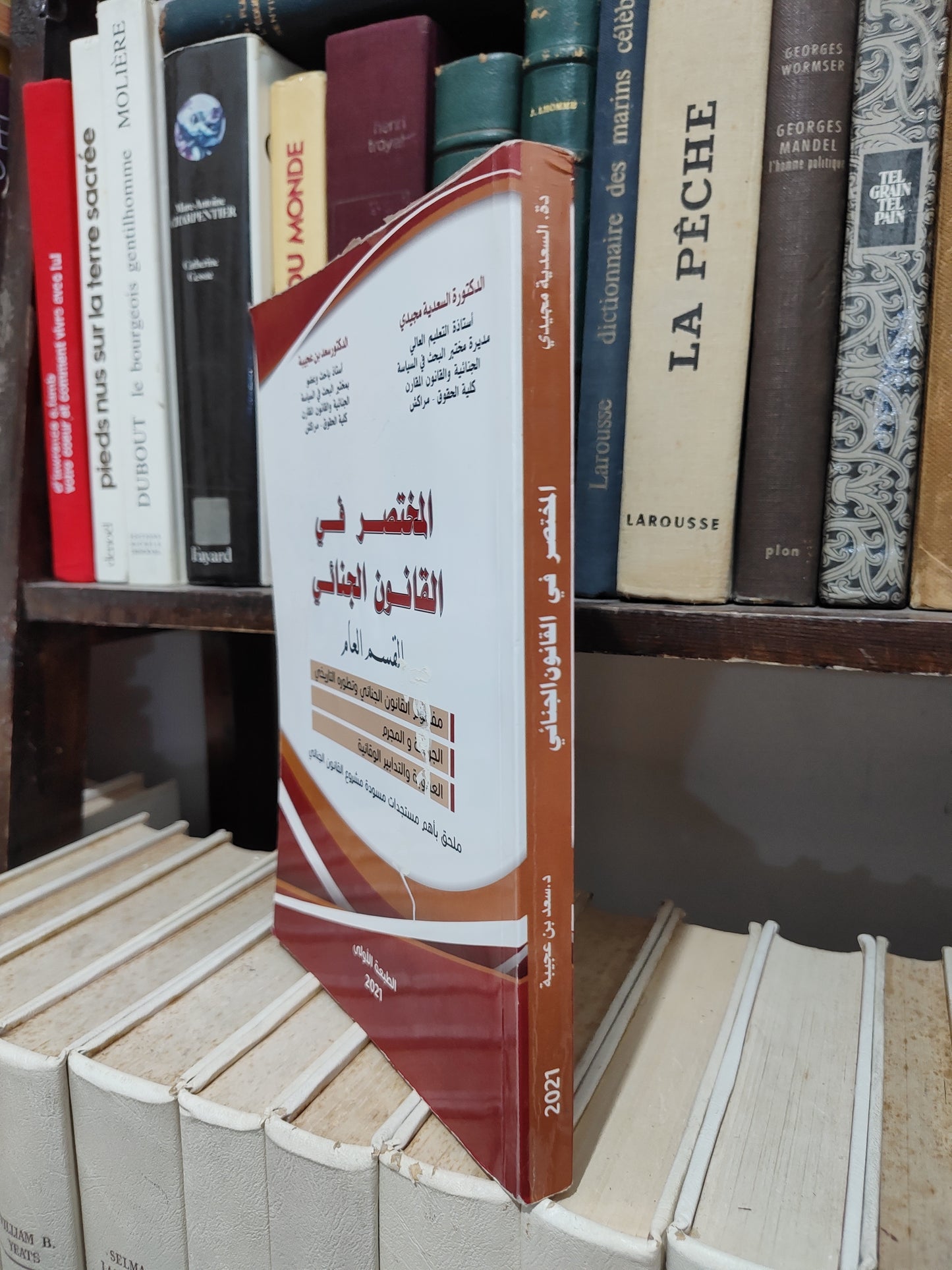 مجيدي - المختصر في القانون الجنائي القسم العام
