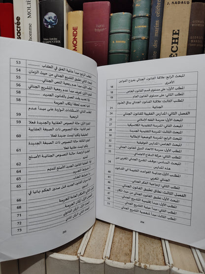 مجيدي - المختصر في القانون الجنائي القسم العام
